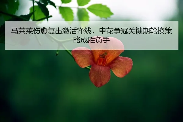 ma-lai-lai-shang-yu-fu-chu-ji-huo-feng-xian-shen-hua-zheng-guan-guan-jian-qi-lun-huan-ce-lve-cheng-sheng-fu-shou-2-711.jpg