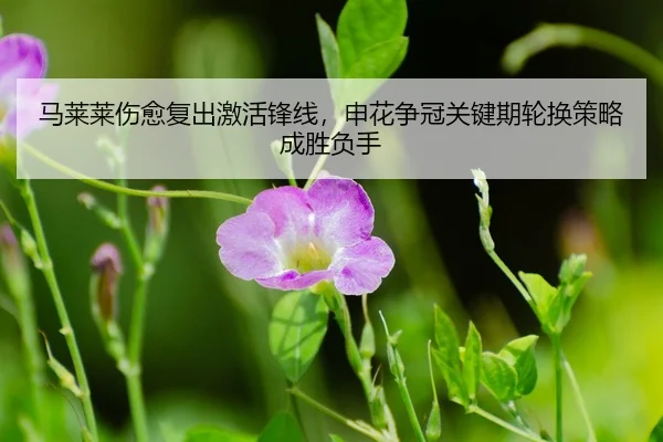 ma-lai-lai-shang-yu-fu-chu-ji-huo-feng-xian-shen-hua-zheng-guan-guan-jian-qi-lun-huan-ce-lve-cheng-sheng-fu-shou-3-456.jpg