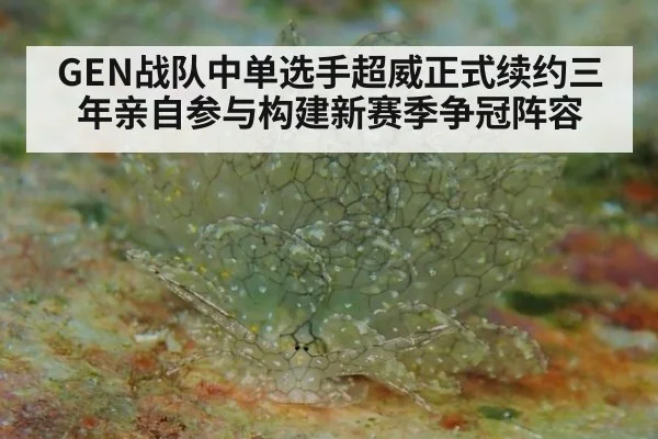 GEN战队中单选手超威正式续约三年亲自参与构建新赛季争冠阵容